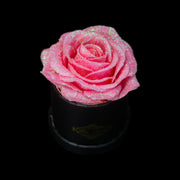 Pink Glitter Roses - Black Micro Box (1 Rose)