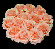 Peach Glitter Roses - Black Box