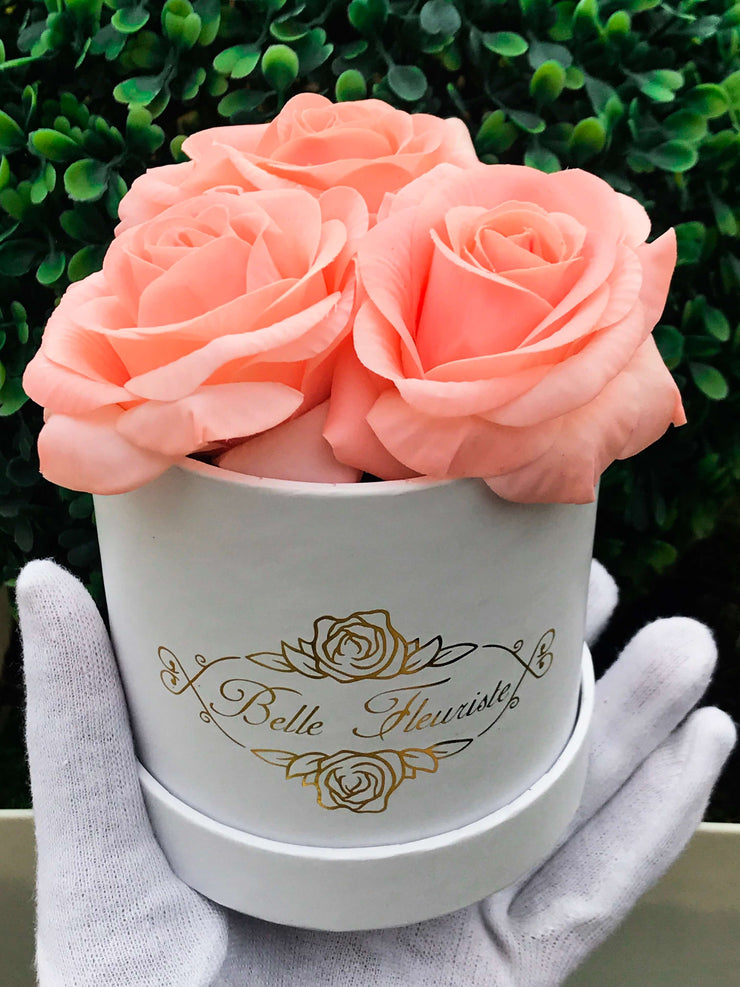 Classic Peach Roses - White Box