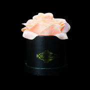 Peach Glitter Roses - Black Micro Box (1 Rose)