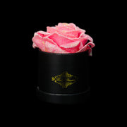 Pink Glitter Roses - Black Micro Box (1 Rose)