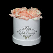 Peach Glitter Roses - White Box (5 Roses)