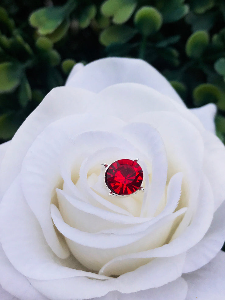 Ruby Red Rhinestone Jewels