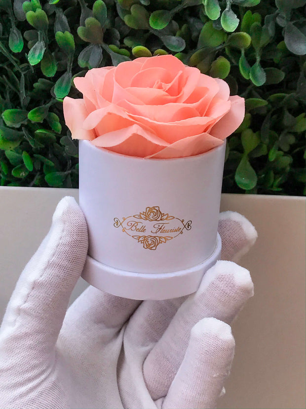 Peach Classic Micro Mini - White Box