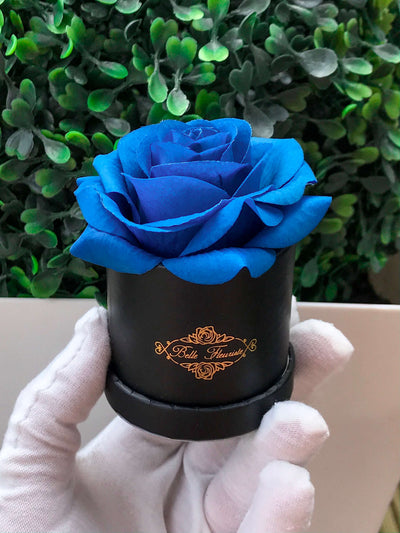 Blue Classic Micro Mini - Black Box