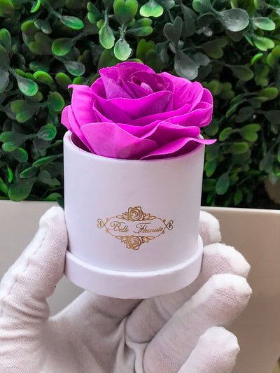Purple Classic Micro Mini - White Box