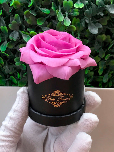 Plum Classic Micro Mini - Black Box